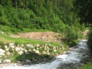 IMG_1833.JPG